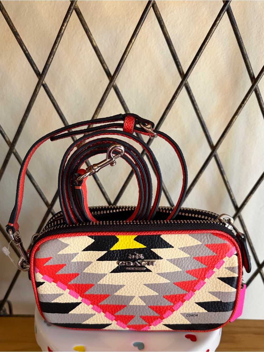 Coach “Hawk Feathers” Crossbody Pouch Nwot